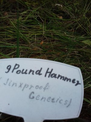 20160609_060137.jpg 20160609_060137.jpg