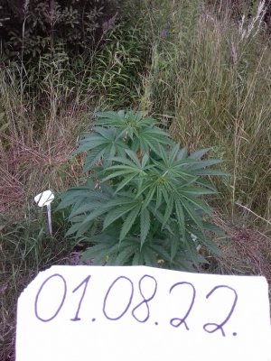 20160609_061103.jpg 20160609_061103.jpg