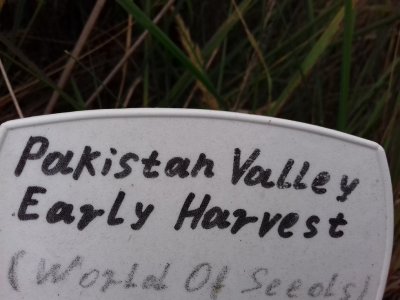 20160609_061911.jpg 20160609_061911.jpg