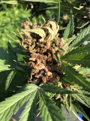 IMG_5765.jpg IMG_5765.jpg