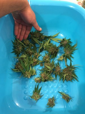 camphoto_1903590565 1.JPG camphoto_1903590565 1.JPG