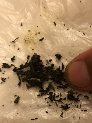 camphoto_1903590565.JPG camphoto_1903590565.JPG