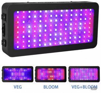 E7ECAD4B-500D-4691-87C2-630EB84E3288.jpeg E7ECAD4B-500D-4691-87C2-630EB84E3288.jpeg