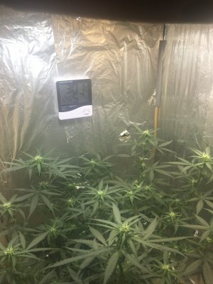 FDEB2023-1F01-4E80-A23F-C46B713AC770.jpeg FDEB2023-1F01-4E80-A23F-C46B713AC770.jpeg