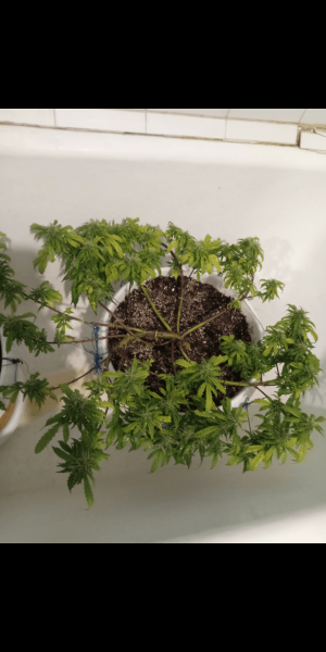 Screenshot_20220815-151748.png Screenshot_20220815-151748.png