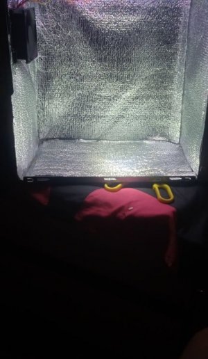 корпус гров.jpg корпус гров.jpg