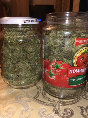 21CB55E0-C6A9-49F9-AA74-B622FFB30649.jpeg 21CB55E0-C6A9-49F9-AA74-B622FFB30649.jpeg