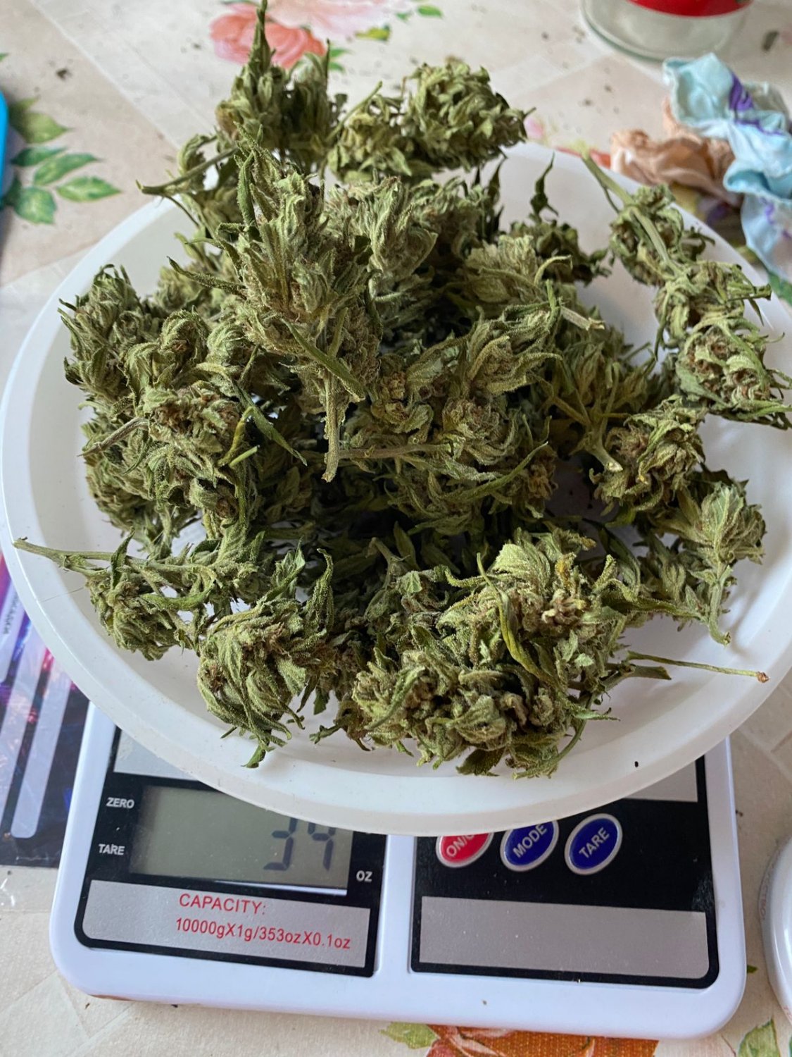 666D5285-E512-4714-A9B3-60FD77BBDAD7.jpeg 666D5285-E512-4714-A9B3-60FD77BBDAD7.jpeg