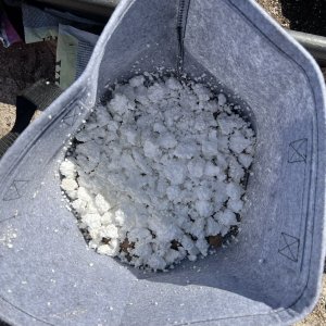 4BC73E0E-83E6-40C0-B701-2A5004D304B8.jpeg 4BC73E0E-83E6-40C0-B701-2A5004D304B8.jpeg