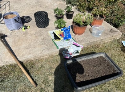 F8868D09-7869-4BB0-B67E-88E712FDE7BB.jpeg F8868D09-7869-4BB0-B67E-88E712FDE7BB.jpeg