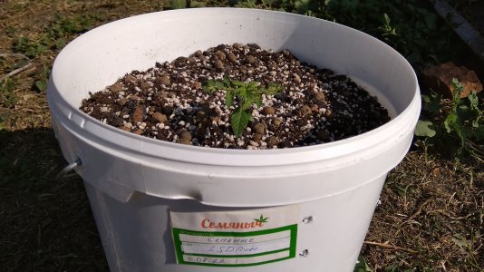 IMG_20220818_160254.jpg IMG_20220818_160254.jpg