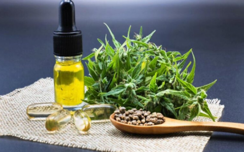 1660839510441.png 1660839510441.png