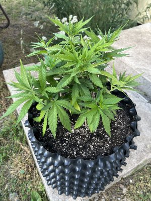 765EE384-110D-42F5-8803-FDCA7E49EA40.jpeg 765EE384-110D-42F5-8803-FDCA7E49EA40.jpeg