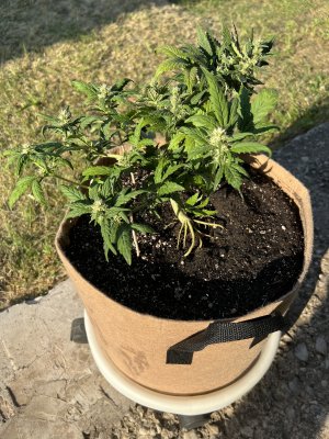 02A1FB81-946F-445B-986F-DAD714866925.jpeg 02A1FB81-946F-445B-986F-DAD714866925.jpeg