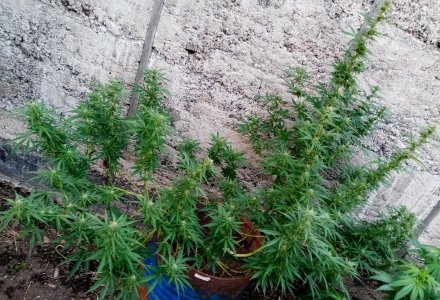 бочк.jpg бочк.jpg