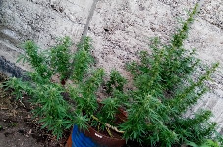 бочка.jpg бочка.jpg