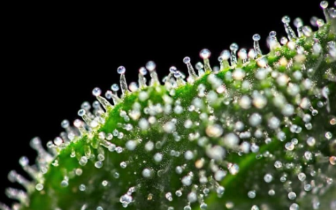 1661183077825.png 1661183077825.png