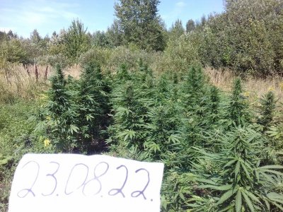 20220823_115405.jpg 20220823_115405.jpg