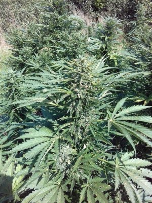 20220823_115616.jpg 20220823_115616.jpg