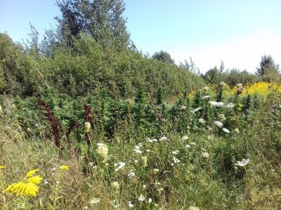 20220823_120310.jpg 20220823_120310.jpg