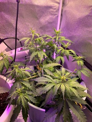 0B07A91C-CEAB-460A-AAB1-ED4082B87246.jpeg 0B07A91C-CEAB-460A-AAB1-ED4082B87246.jpeg