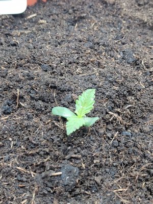 P20831-054154.jpg P20831-054154.jpg