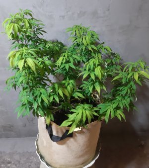 20220902_112246.jpg 20220902_112246.jpg