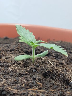 P20902-160757.jpg P20902-160757.jpg