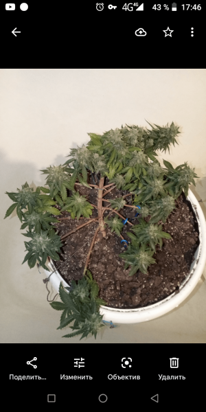 Screenshot_20220904-174641.png Screenshot_20220904-174641.png