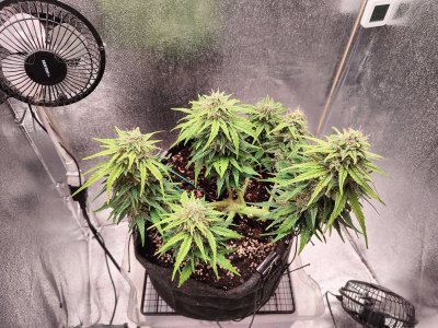 IMG20220905151106.jpg IMG20220905151106.jpg