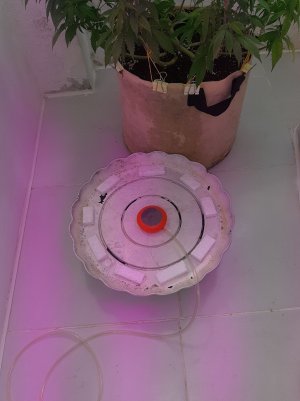 20220906_133505.jpg 20220906_133505.jpg