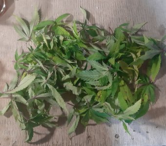 20220906_153608.jpg 20220906_153608.jpg