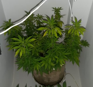 20220906_192213.jpg 20220906_192213.jpg