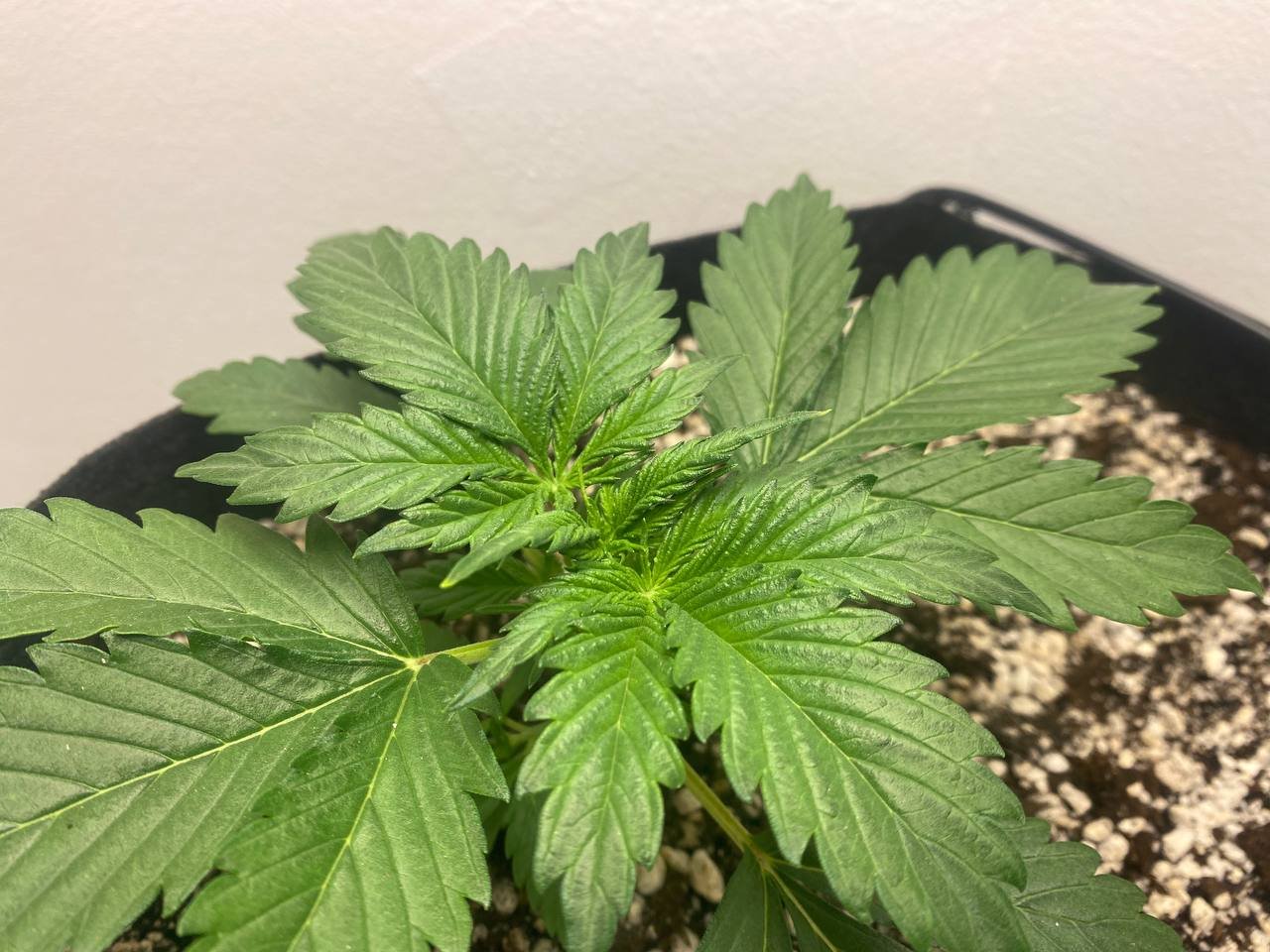 photo_2022-09-07_05-14-43.jpg photo_2022-09-07_05-14-43.jpg