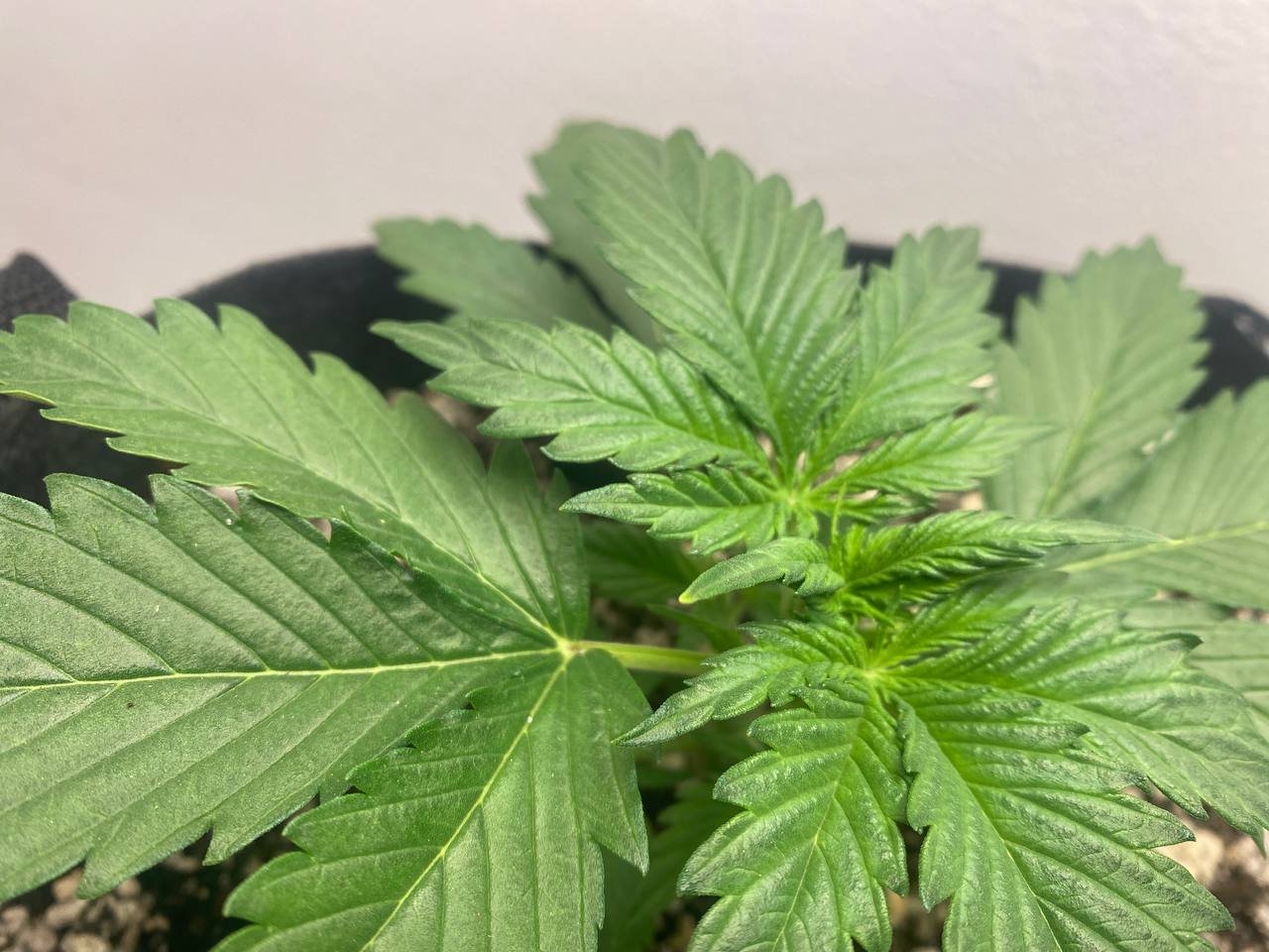 photo_2022-09-07_05-14-44.jpg photo_2022-09-07_05-14-44.jpg