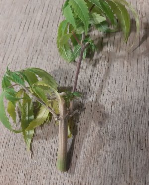 20220907_085328.jpg 20220907_085328.jpg