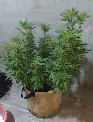 20220907_092438.jpg 20220907_092438.jpg