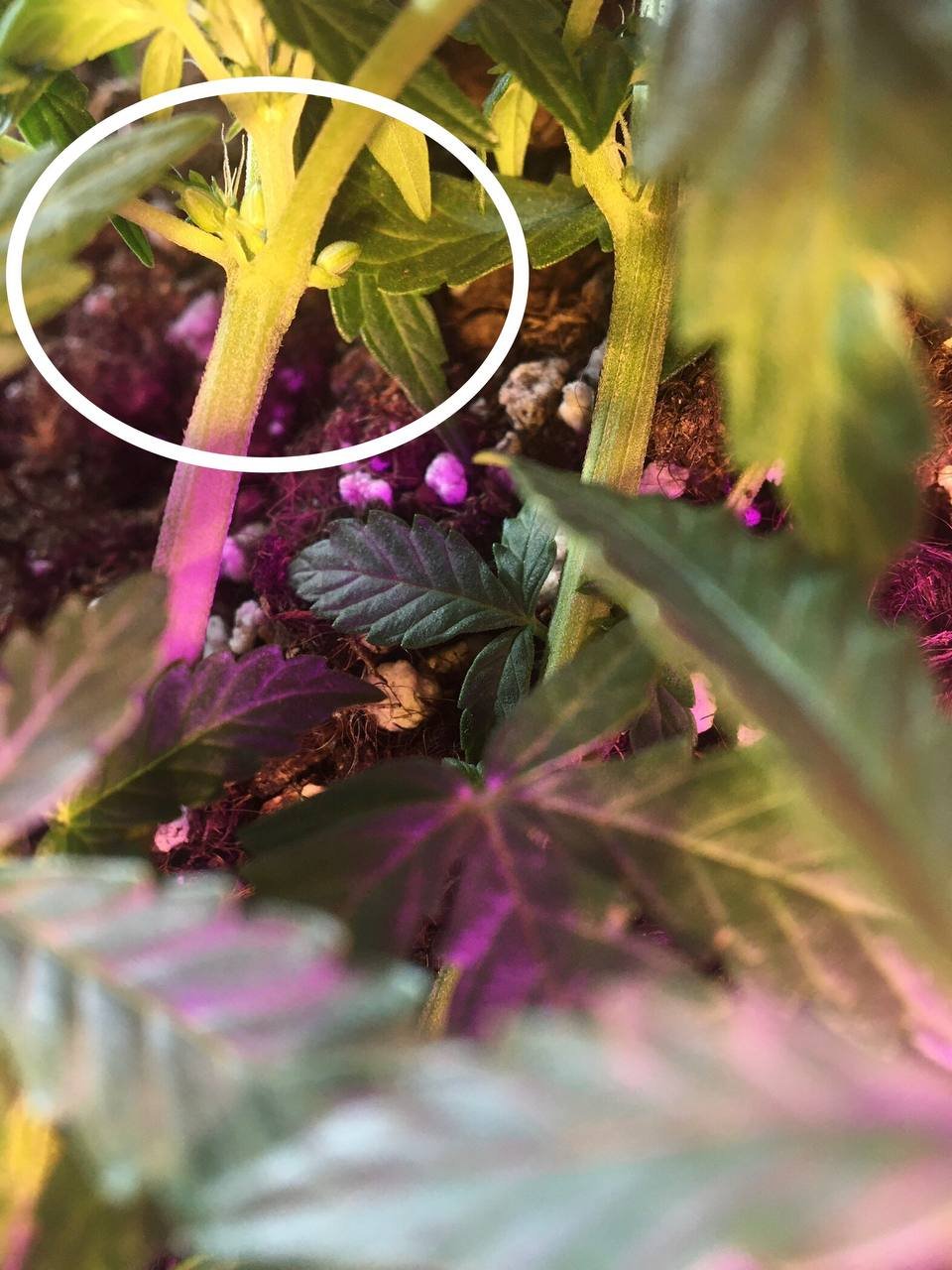 19937FCE-1EFB-40F1-B6BF-3E101E750CB1.jpeg 19937FCE-1EFB-40F1-B6BF-3E101E750CB1.jpeg