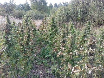 20220909_171114.jpg 20220909_171114.jpg