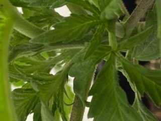 D6937B5F-BFB6-4DCB-8028-0C27018FC31C.jpeg D6937B5F-BFB6-4DCB-8028-0C27018FC31C.jpeg