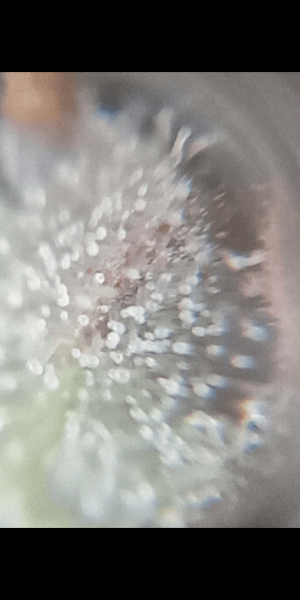 Screenshot_20220919-211812.png Screenshot_20220919-211812.png