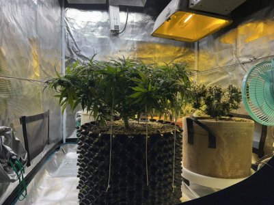 09D27037-F2D0-4FF3-B952-05FDEDAAE962.jpeg 09D27037-F2D0-4FF3-B952-05FDEDAAE962.jpeg