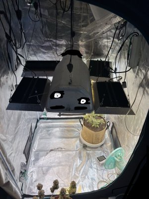 AEEF4887-A582-473D-9C16-972293461448.jpeg AEEF4887-A582-473D-9C16-972293461448.jpeg