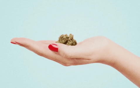 1663763892315.png 1663763892315.png