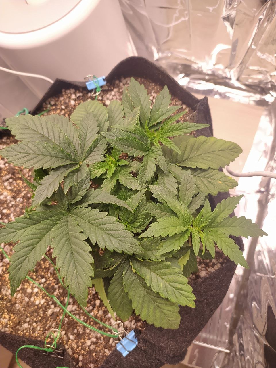 ob — копия.jpg ob — копия.jpg