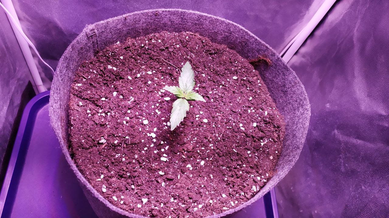 photo_2022-09-28_18-05-42.jpg photo_2022-09-28_18-05-42.jpg