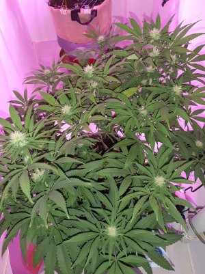 20221002_201359.jpg 20221002_201359.jpg