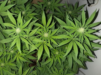 20221003_093501.jpg 20221003_093501.jpg