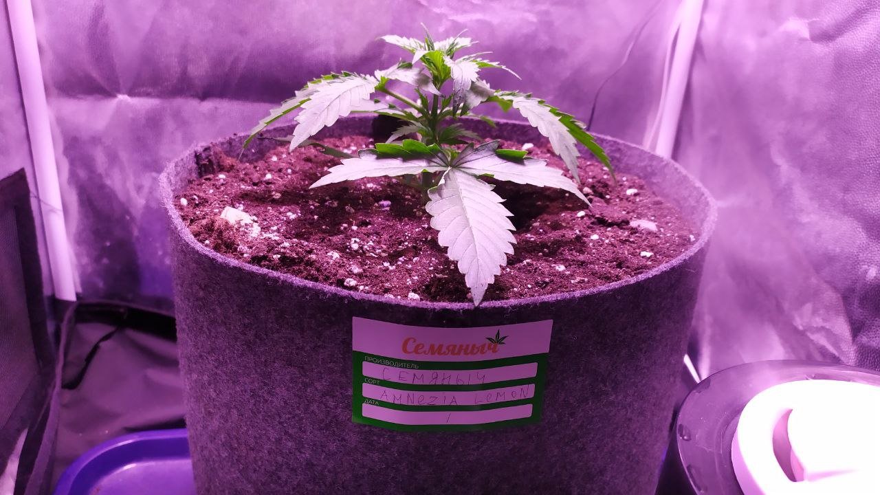 photo_2022-10-04_10-28-19 (3).jpg photo_2022-10-04_10-28-19 (3).jpg