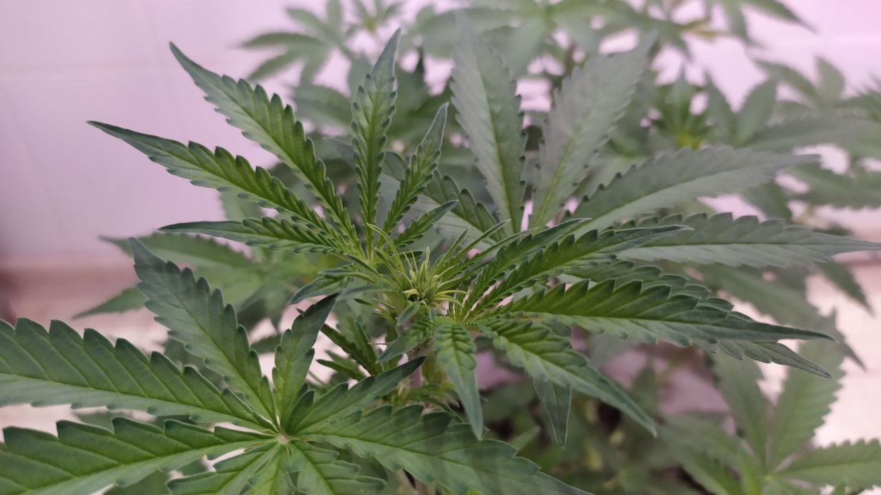 photo_2022-10-04_10-28-19 (2).jpg photo_2022-10-04_10-28-19 (2).jpg